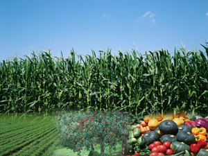 What is a Good Partner of Potassium Dihydrogen Phosphate?